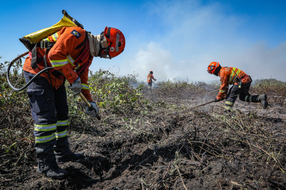 Homens do Corpo de Bombeiros atuam no combate às chamas.