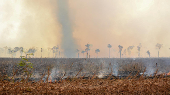 Incêndio no Parque Cristalino II.