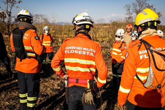 Mais de 190 bombeiros atuam nesta terça (27) no combate às chamas.