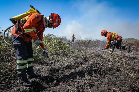 Corpo de Bombeiros Militar de Mato Grosso combate incêndios no Estado.