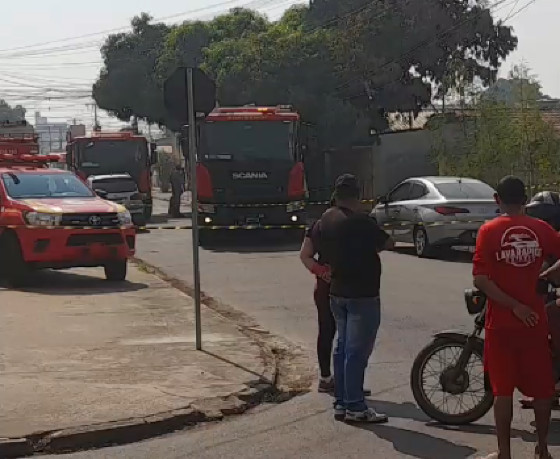 Militares do Corpo de Bombeiros fizeram a retirada do cadáver da árvore  