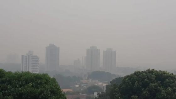 O céu acinzentado é o resultado de um índice recorde de queimadas, principalmente na Amazônia.