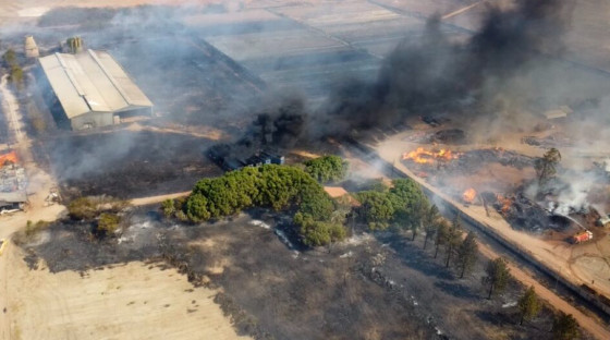 O fogo se espalhou rapidamente por conta da vegetação seca 