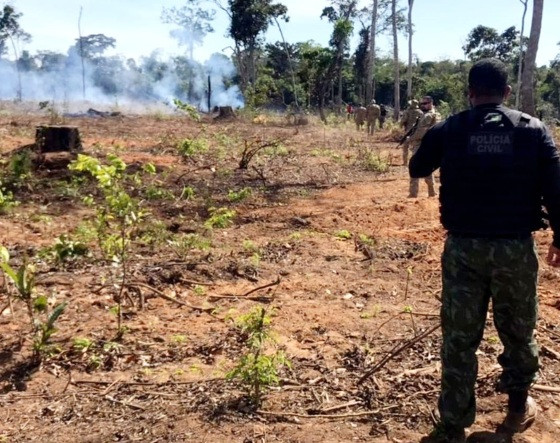 As prisões ocorreram em 12 municípios de Mato Grosso.