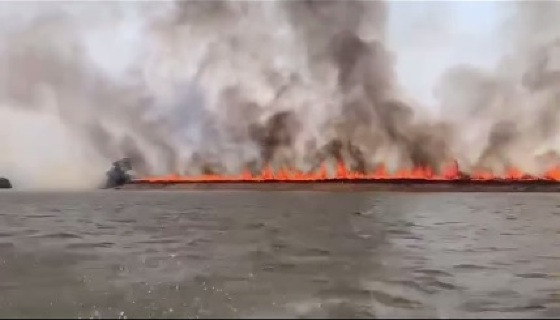 O incêndio está localizado em região entre cidades de Peixoto de Azevedo, Querência e São Jose do Xingu.