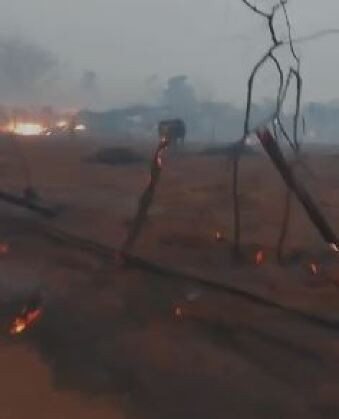 Nas imagens, gravadas por um morador, é possível ver bois, cavalos e vacas queimados tentando andar e outros mortos caídos no chão.