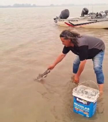 Pescadores resgatam os peixes agonizando no Rio Paraguai 