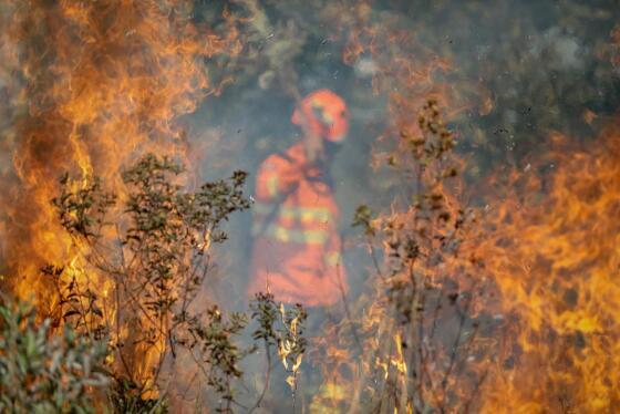 Policiais flagraram criminosos ateando fogo em área de mata fechada, próximo à rodovia.