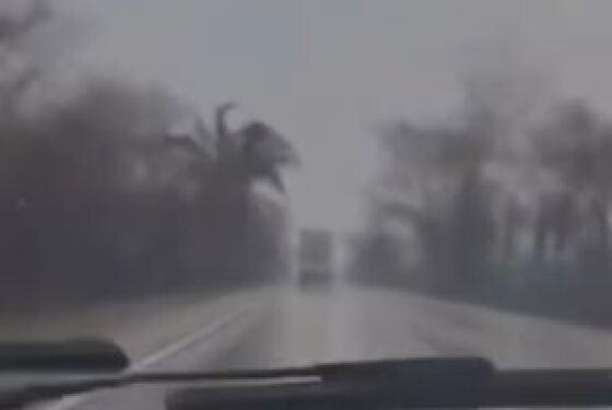 Na tarde desta terça-feira (24), um morador que trafegava pela Serra de São Vicente (a 60 km de Cuiabá) registrou o momento em que a chuva atingiu a região.