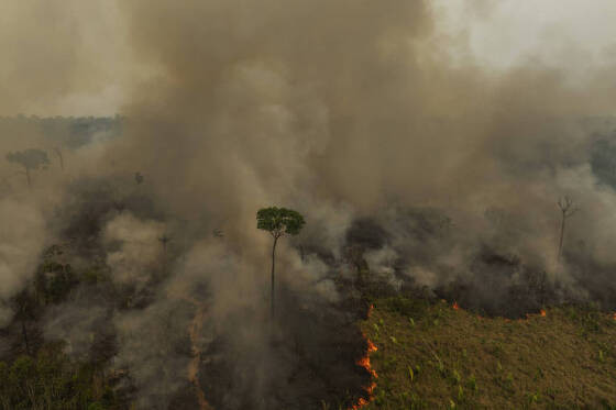  Incêndio florestal na Estação Ecológica Soldado da Borracha, em Rondônia