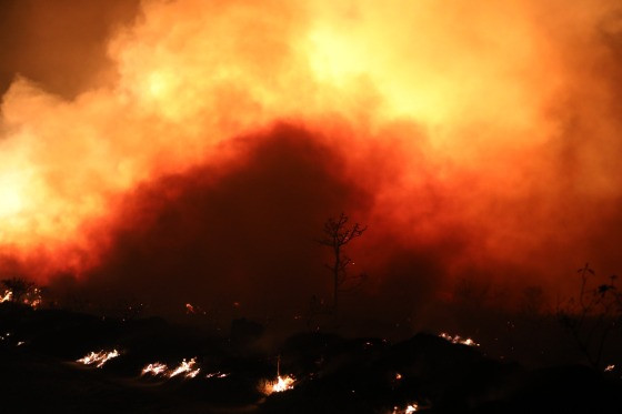 Fogo na região do Portão do Inferno teve início nesta terça-feira (1º)