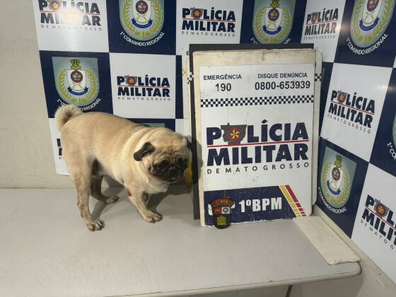 A troca ocorreu no domingo (17) em uma mercearia.