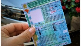 Golpe da “taxa da CNH Social” circula em MT