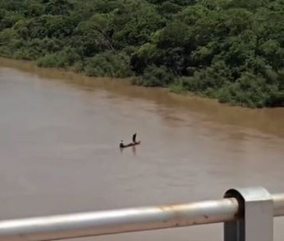 A fala do governador, em tom punitivo, faz referência a Lei Estadual do Transporte Zero, que entrou em vigor no dia 1º de janeiro deste ano e proíbe a pesca predatória em Mato Grosso.