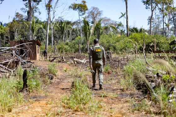 Neste ano, a Sema recebeu 3.877 alertas de desmatamento