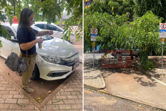 Ela deixou o veículo estacionado nas vagas em frente ao Palácio Alencastro