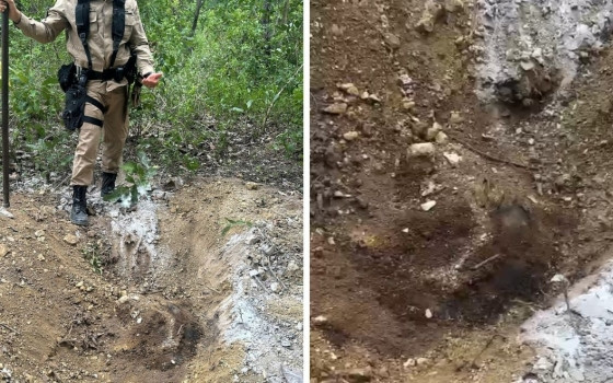 As covas foram encontradas por cão farejador do Corpo de Bombeiros. 