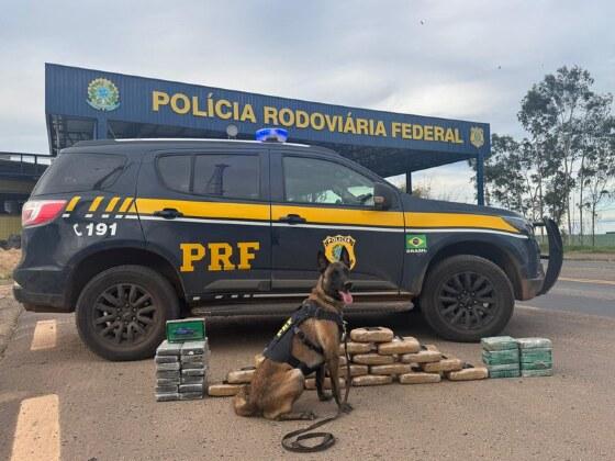 Além das drogas, também foram encontradas duas cartelas de medicamentos conhecidos como rebites, com 30 comprimidos no total.