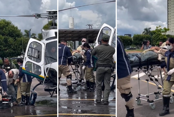 Trabalhador rural foi atacado por abelhas na manhã deste sábado (25)