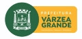 Prefeitura muda logo e ignora cores de VG