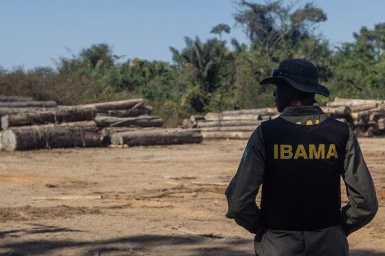 Em Mato Grosso, são três vagas para analista administrativo e 18 para analista ambiental.