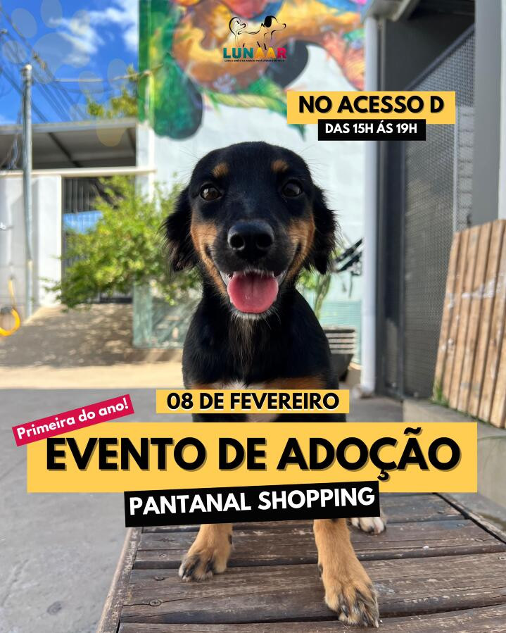 FEIRA DE ADOÇÕES PANTANAL SHOPPING E LUNAAR