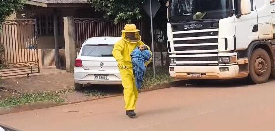 Os animais socorridos foram encaminhados a Associação Protetora dos Animais do Município de Sinop.