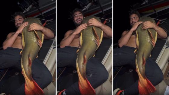 Em um vídeo publicado nas redes sociais, Henrique aparece deitado dentro de um barco com o peixe ao lado, fazendo carinho no animal.