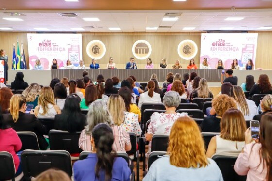 A auditoria operacional sobre violência contra a mulher foi anunciada pelo conselheiro-presidente, Sérgio Ricardo, no Dia Internacional da Mulher de 2024. 