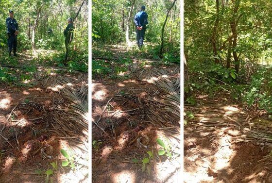 Após denúncia, GMVG encontrou novas ossadas em área de mata nesta segunda (17).