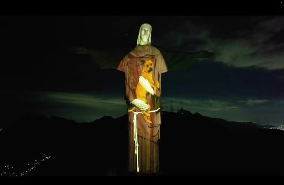 A iluminação especial está marcada para às 20h, homenageando o Dia Mundial dos Animais de Rua