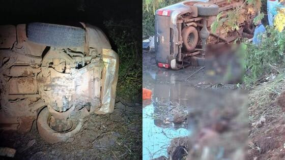 Eles estavam pescando quando foram atingidos pelo carro