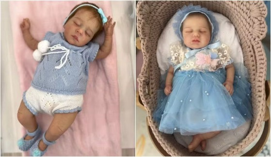 O vereador destacou ainda que os bebês reborns são utilizados também para auxiliar no tratamento psicológico em casos de lutos e traumas.