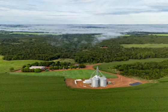 De acordo com o Instituto Mato-Grossense de Economia Agropecuária (Imea), na safra 2024/25, a produção estadual de etanol atingiu 6,70 bilhões de litros, um crescimento de 17,09% em relação ao ciclo anterior.