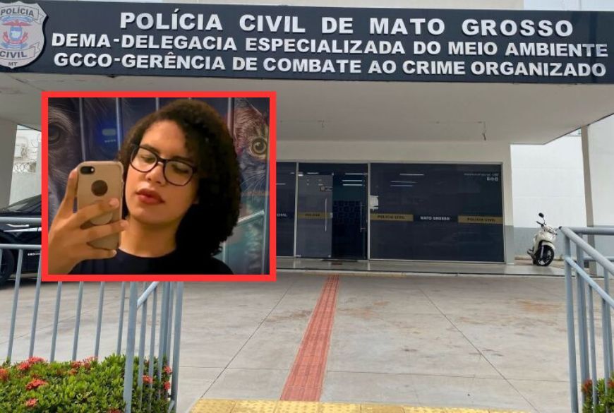 ONG revela áudio com sons de pauladas e gemidos de gatos que teriam sido mortos por mulher trans