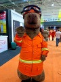 Corpo de Bombeiros de MT ganha nova mascote