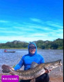 Pescador fisga pintado gigante e Mauro celebra