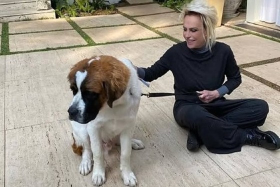 Nas imagens, a loira mostrou, inclusive que o cachorro chegou a participar de seu programa