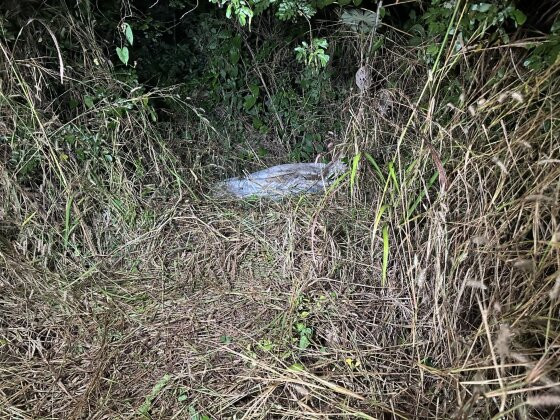 Um morador da região encontrou os corpos no saco plástico