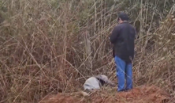 Homem é morto a facadas e tem corpo encontrado em matagal
