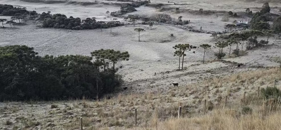 São Joaquim, na Serra catarinense, nesta quarta-feira, 2 de julho 