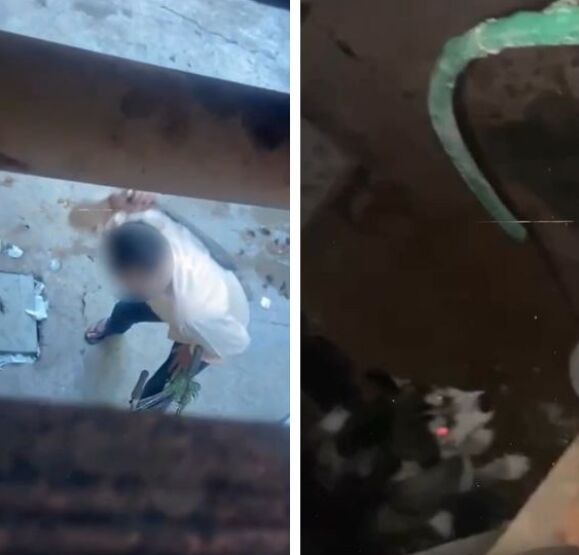 Montagem/RepórterMT