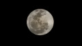 “Lua do veado” já pode ser vista de Cuiabá