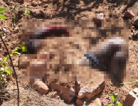 O corpo foi encontrado em uma cova rasa na região da Serra do Gavião, na Gleba Rio Vermelho, zona rural do município
