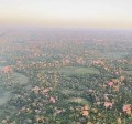 Florada dos Ipês se antecipa no Pantanal