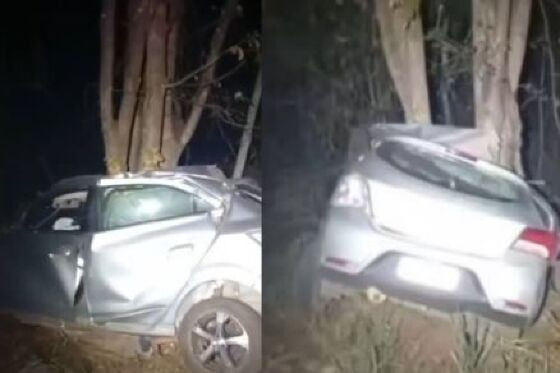 O carro saiu da pista e bateu em uma árvore às margens da rodovia.