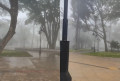 Chapada amanhece tomada por neblina