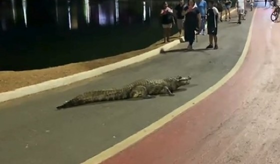 Celso ocupou parte da pista de caminhada no Parque da Águas na noite desse sábado (18).