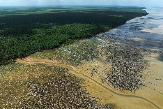 Parque Nacional do Cabo Orange, no Amapá, durante a maré baixa; área fica na costa da região em que a Petrobras busca explorar petróleo.