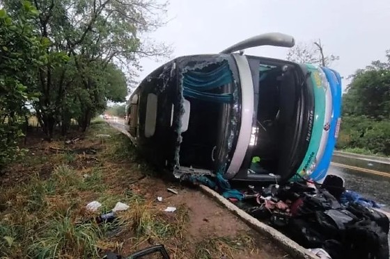 O acidente ocorreu após o motorista do veículo tentar desviar de uma árvore caída na rodovia
